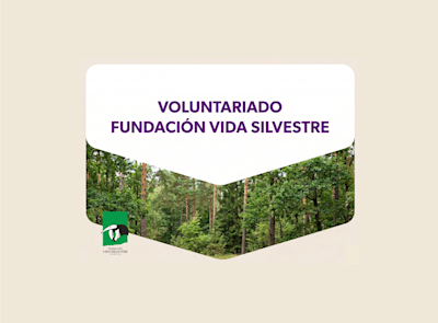 Fundación Vida Silvestre. Ganá una jornada de restauración ecológica. 