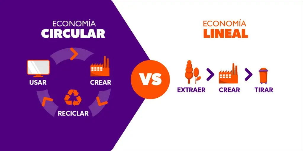 Economía circular: qué es y cómo podés aprovecharla