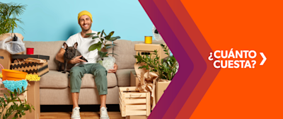 Si te preguntás cuánto cuesta alquilar un departamento en Argentina, necesitás leer esta nota. También hablamos sobre el precio de la mudanza.