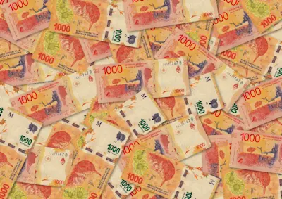 Billetes argentinos con el hornero esparcidos sobre una superficie