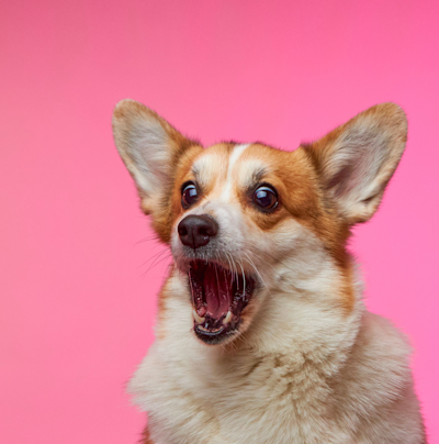 Naranja X subió el tope de remuneración: $800.000