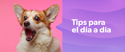 Tope de cuenta remunerada Naranja X