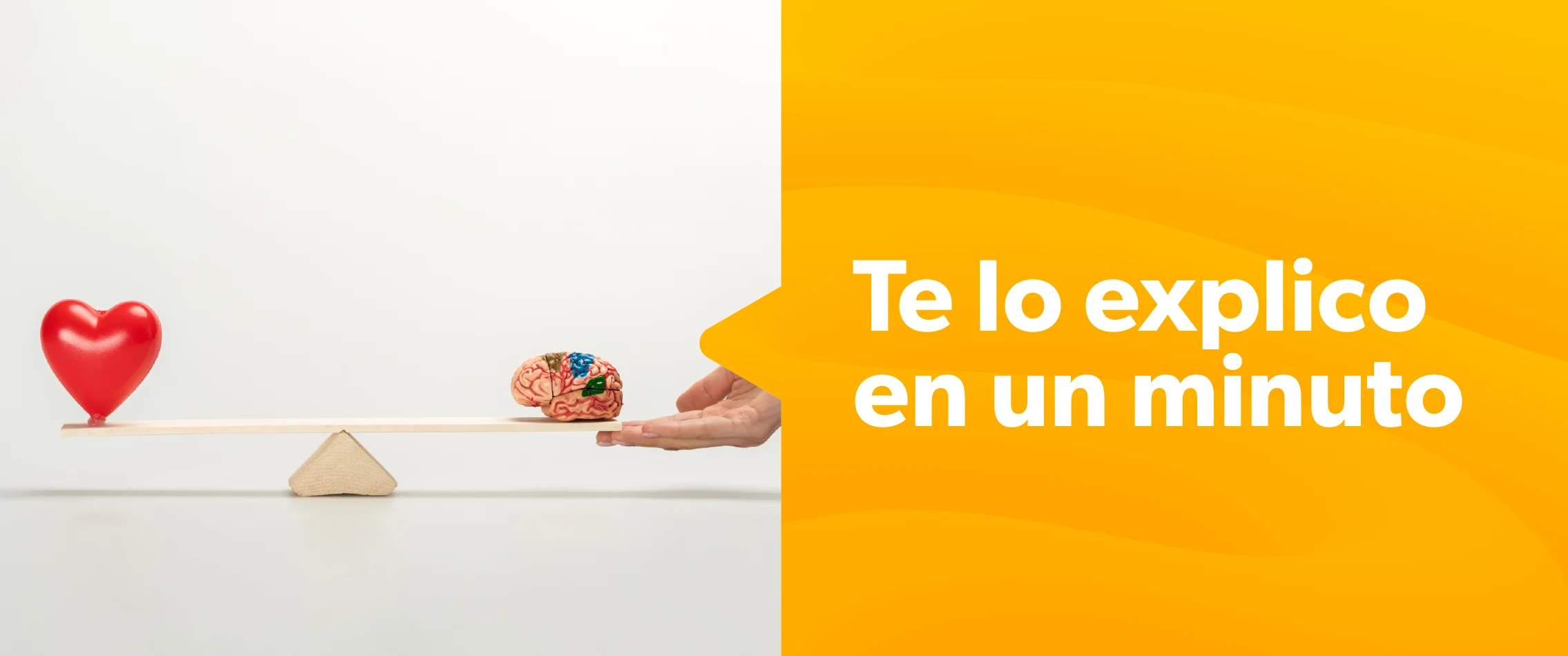 En la imagen se trata de graficar un equilibrio entre el corazón y el cerebro. 