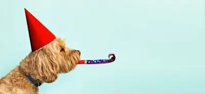 Perro con gorro de fiesta sopla un espantasuegras para celebrar los Frascos