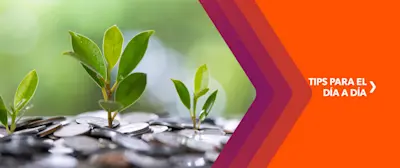 Es posible ganar plata y cuidar el planeta, a la vez, gracias a las inversiones sustentables. ¿No sabés qué son? Te contamos acá.