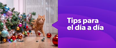 Cuenta Regresiva: cómo preparar las finanzas para las fiestas 