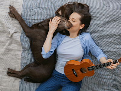 Seguro para Mascotas | Cotizá tu Asistencia para Perros y Gatos. Contratá Seguro para Mascotas al mejor precio. Cotizá, compará y elegí la mejor cobertura para tu perro o gato. Asegurá tu mascota con Naranja X 🐶 