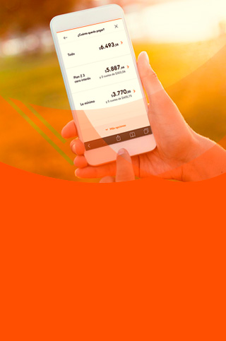 Consultá tu resumen en Naranja Online. ¡Pagalo en un clic y liberá tu límite de compra en el acto!