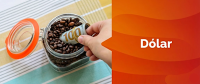 ¿Cómo guardar los dólares para que no se arruinen?