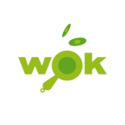 Wok