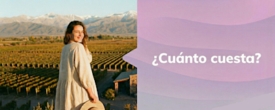 ¿Cuanto cuesta? Informe Canasta de Verano Focus Market 2025