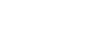 Phoenix Security