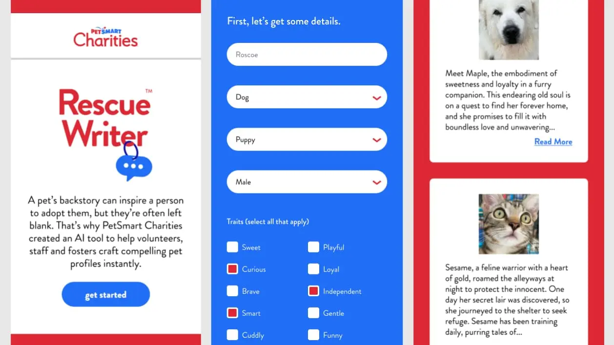 Uploaded image: rescue-writer.webp