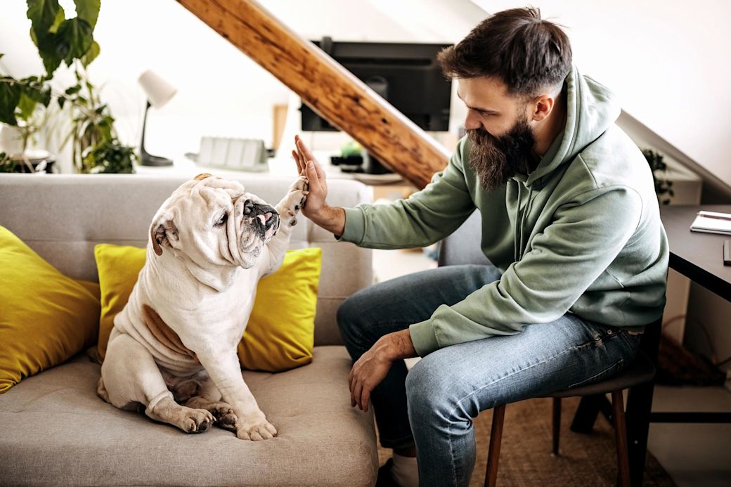 Junger Mann und sein Hund geben sich gegenseitig High Five