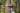  Frau umarmt mit geschlossenen Augen einen Baum in einem Wald