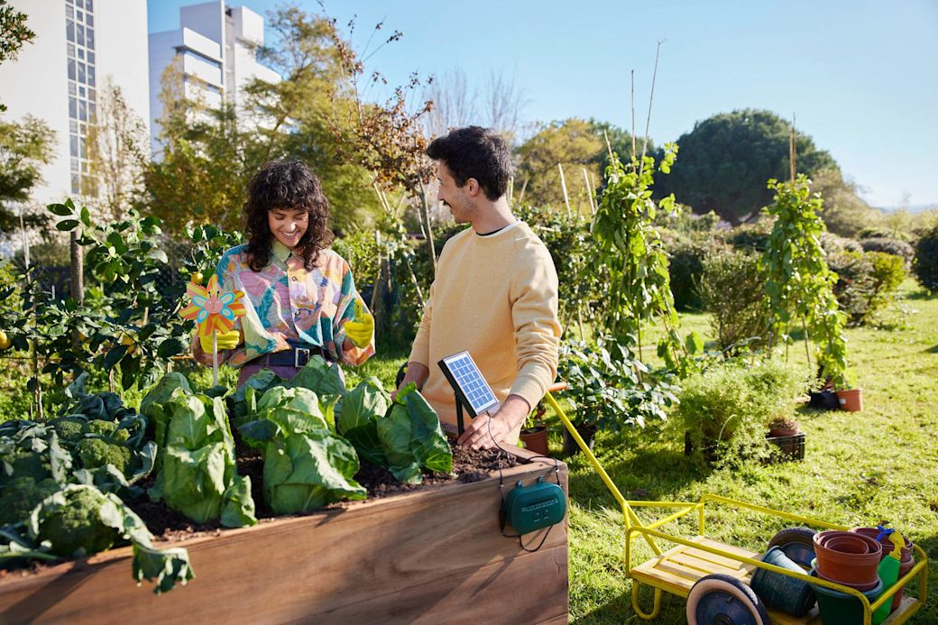 Mann und Frau stehen im Stadtgarten am Hochbeet