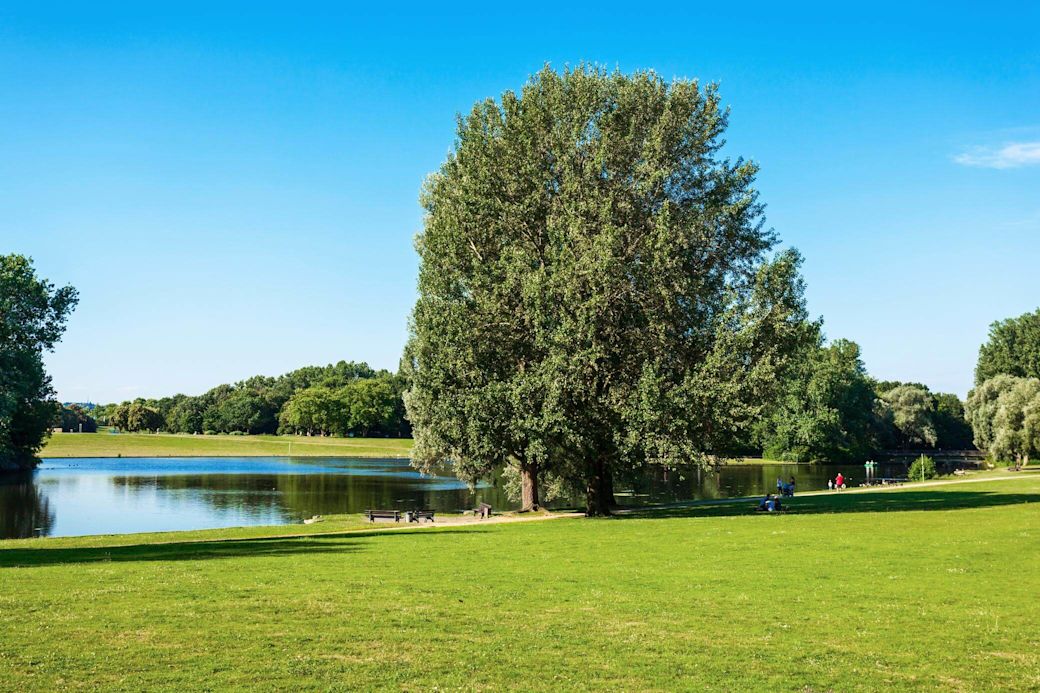 Der Rheinauen Park in der Stadt Bonn