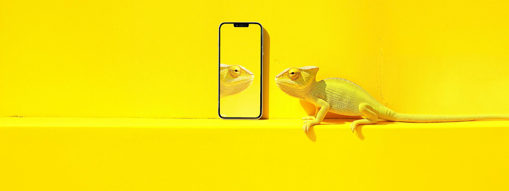 Frau mit braunen Locken und gelbem Shirt steht vor Zählerkasten und fotografiert Zählerstand mit gelbem Handy und der Yello App.