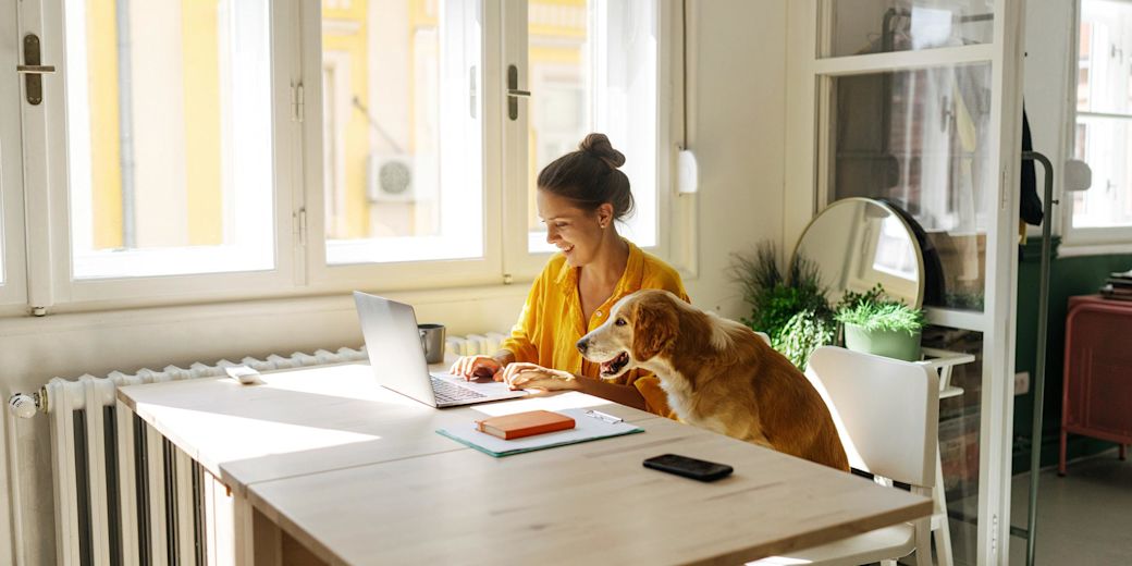 Eine junge Frau arbeitet zuhause am Laptop, denkt über Strompreise nach, Hund sitzt neben ihr