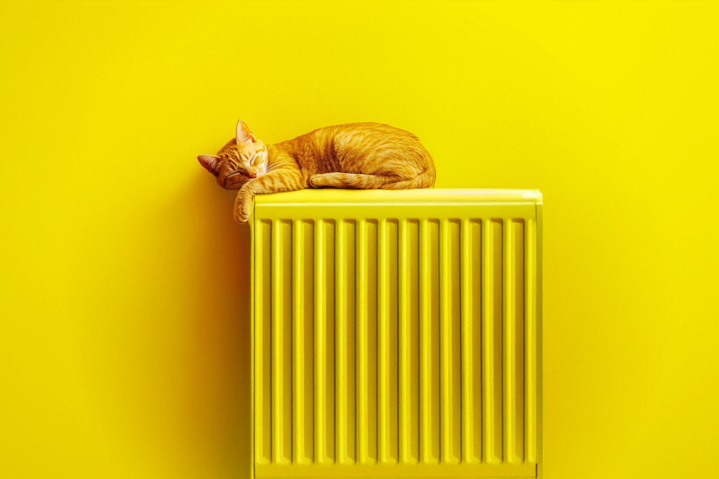 Katze schläft entspannt auf einer gelben Heizung in einem gelben Raum - KI generiert