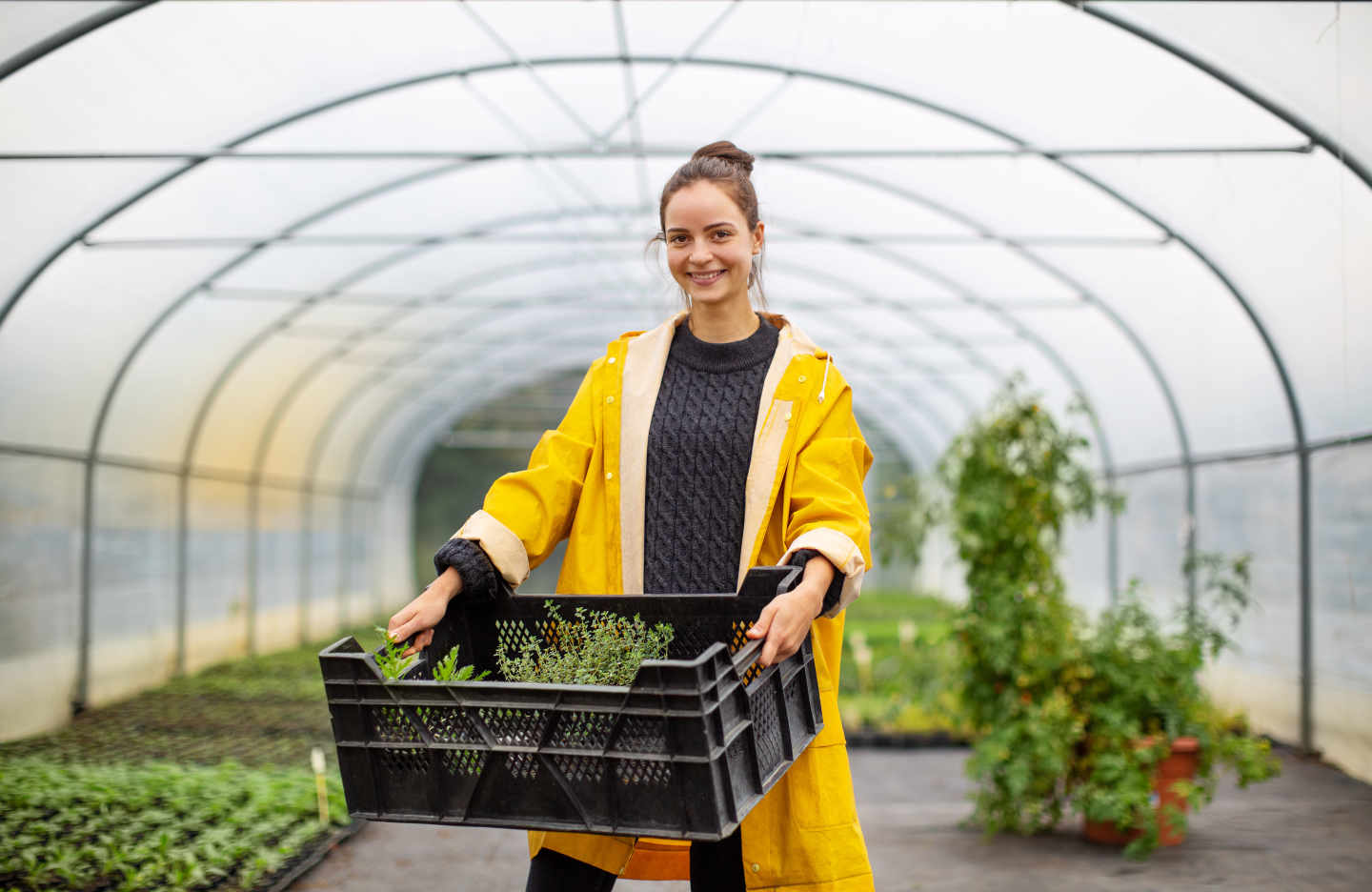 Shot of happy young woman with crate full of plants standing in greenhouse.
