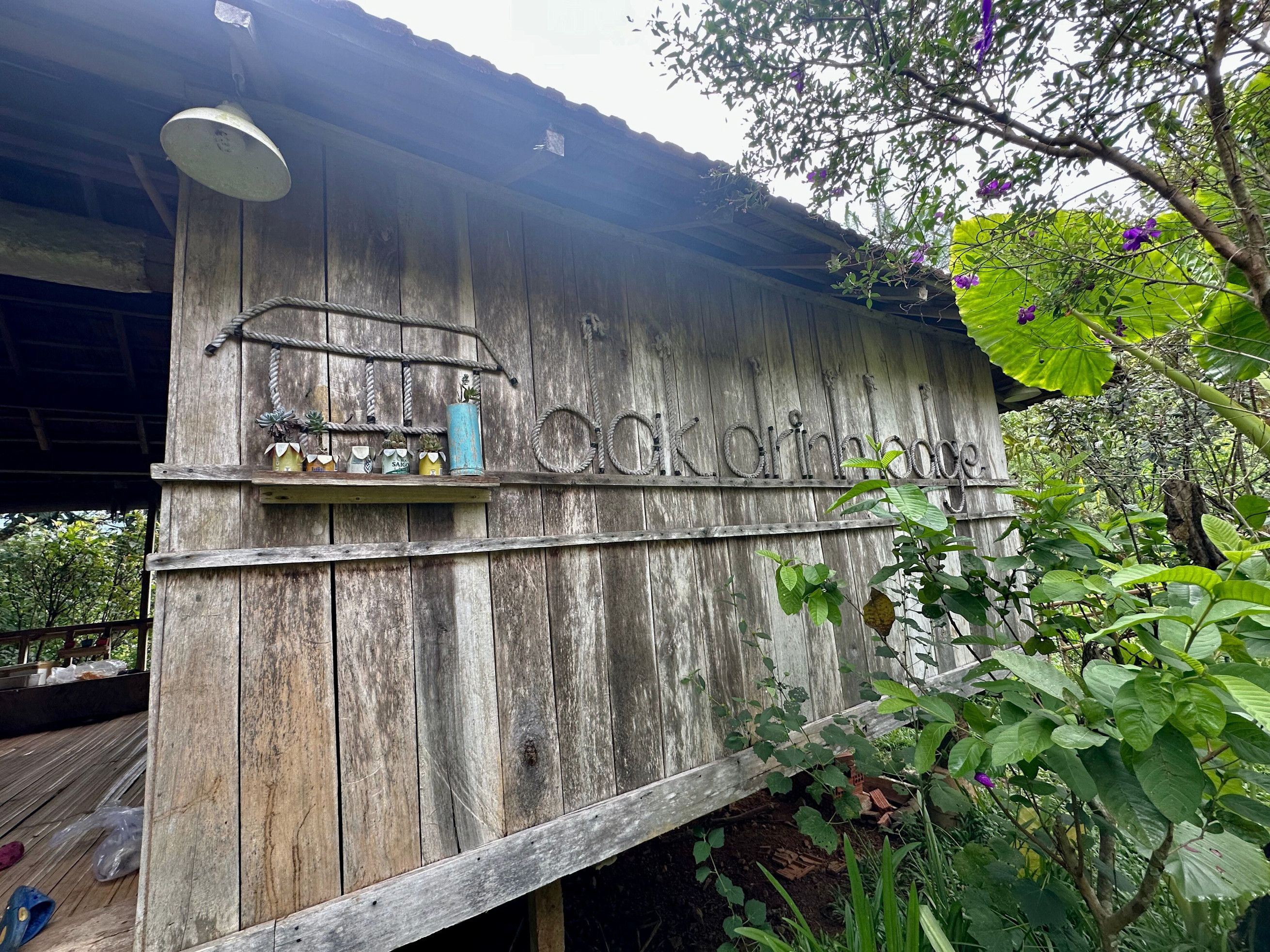 Thiết kế chưa có tên (11)