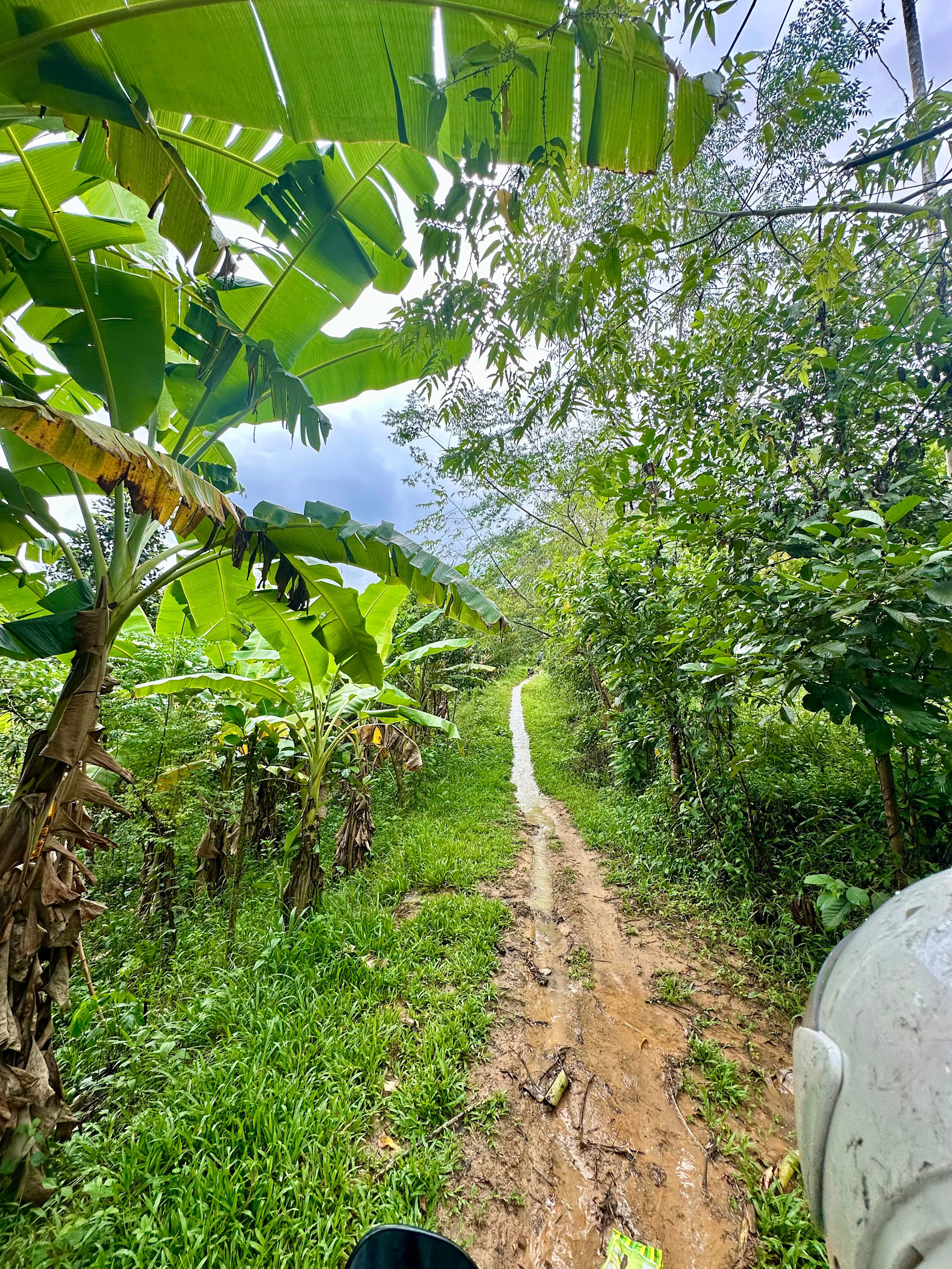 Thiết kế chưa có tên (8)