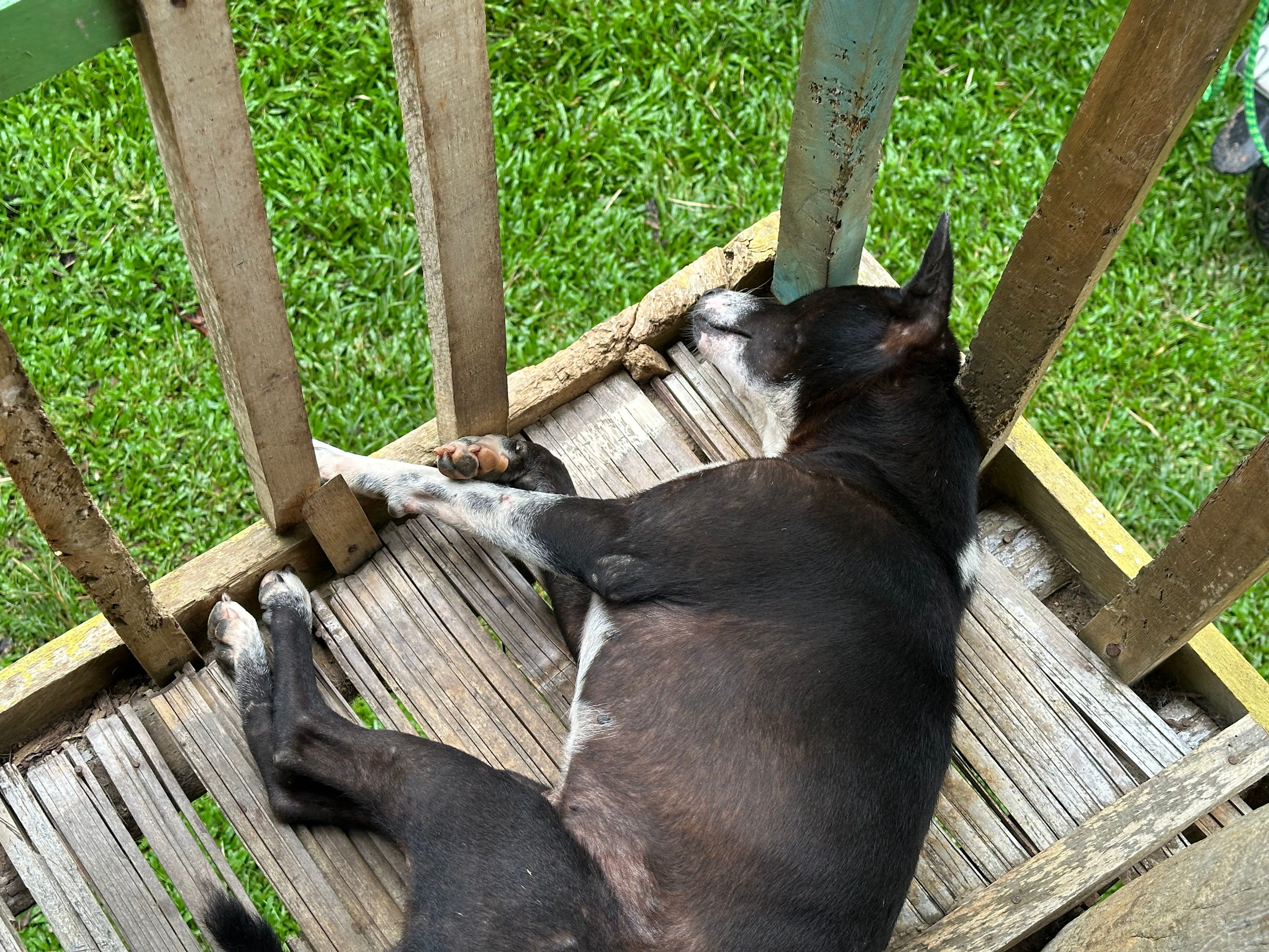 Thiết kế chưa có tên (15)