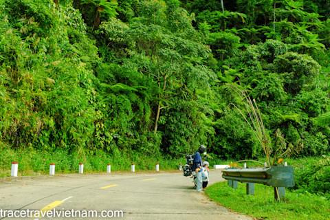 Our family will often stop along the way to take photos and admire the beauty of the mountainous forests
