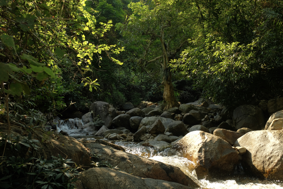 Halfday Resized/DSCF0134