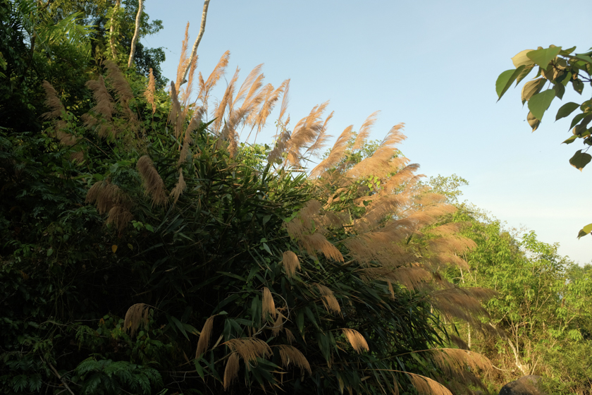 Halfday Resized/DSCF0207