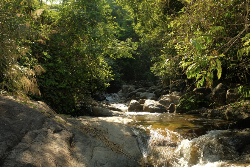 Halfday Resized/DSCF0124