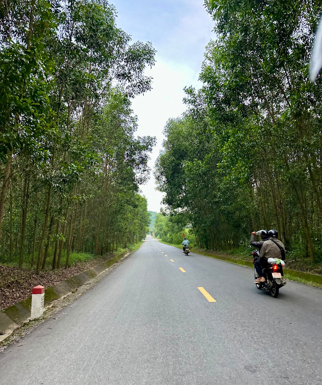 Thiết kế chưa có tên (35)