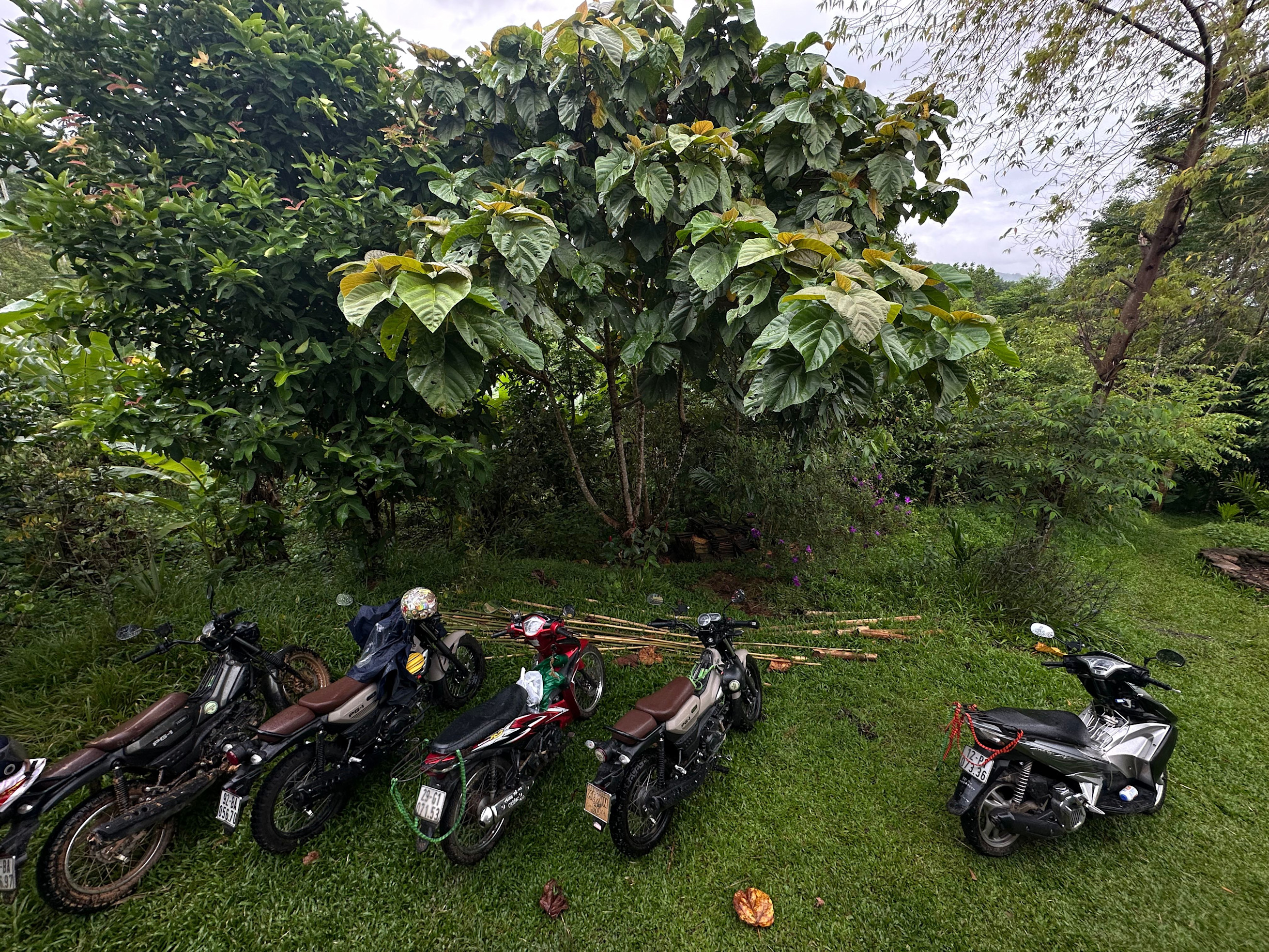 Thiết kế chưa có tên (14)