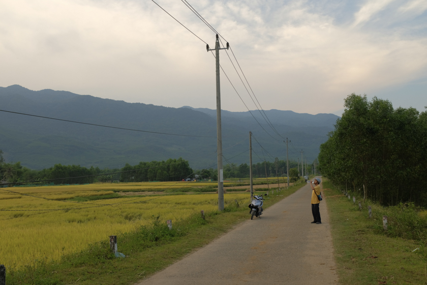 Halfday Resized/DSCF9973