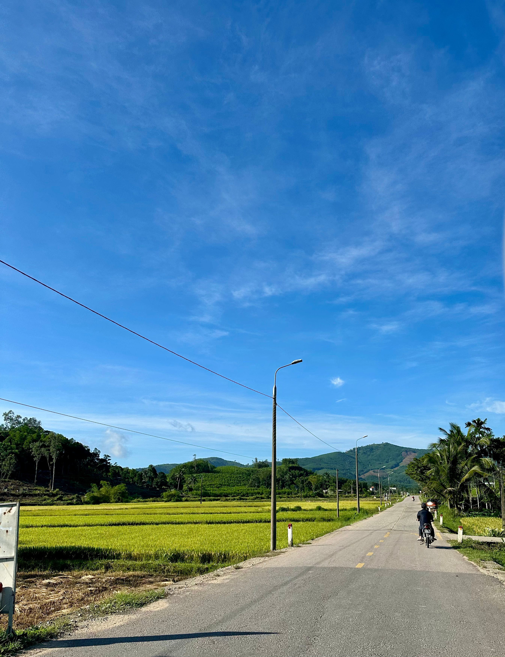 Thiết kế chưa có tên (1)