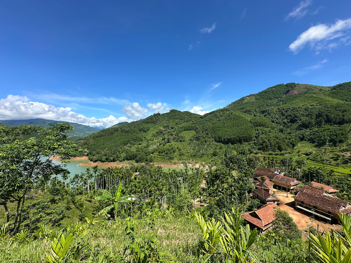 Thiết kế chưa có tên (29)