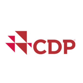 CDP - Card