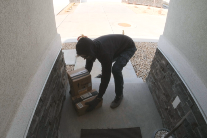 image of porch pirate