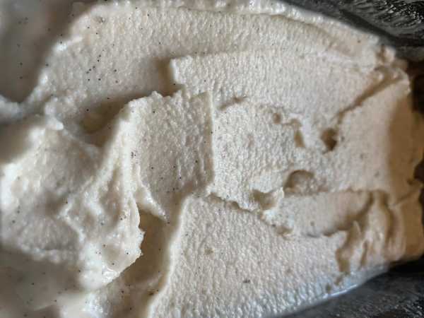 Plant-based Vanilla Ice Cream Recipe