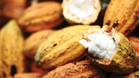 Thumbnail cocoa compass award