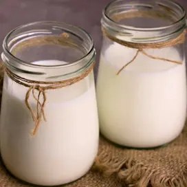 Drinking Yoghurt card