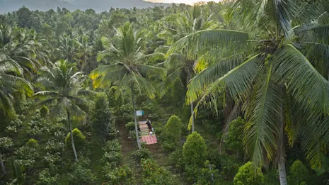 Reflecting on 20 years article image