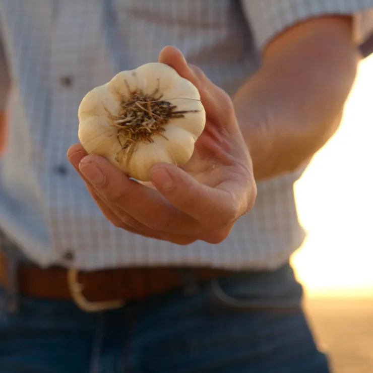 Supply Chain Excellence - Our Promise