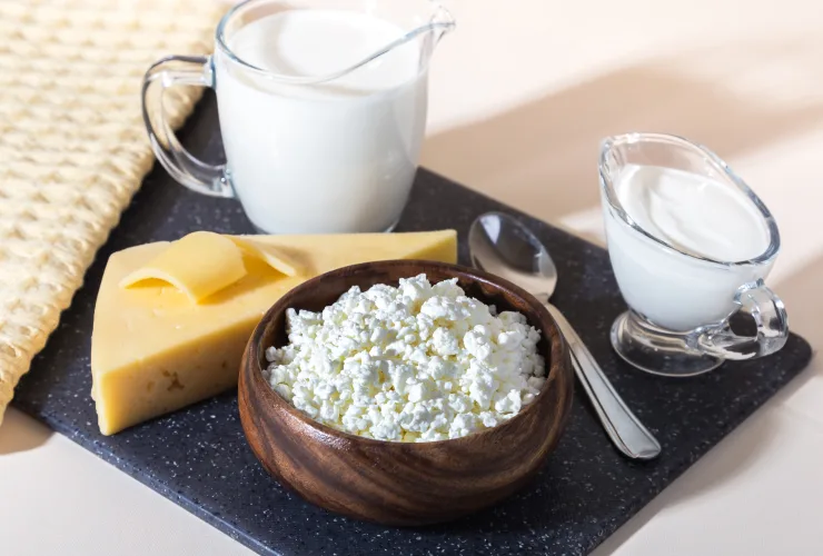 Cheese ingredient offering - Casein