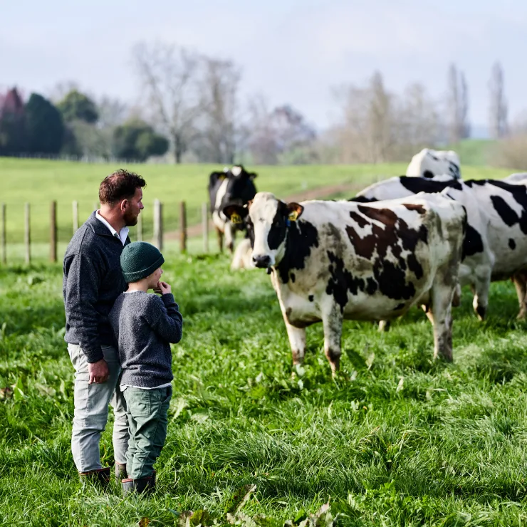 Sustainability in Dairy - Taking sustainability efforts to the next level