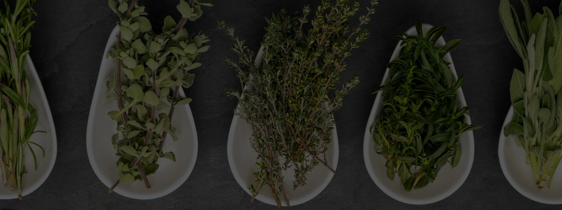 Herbs - Stats