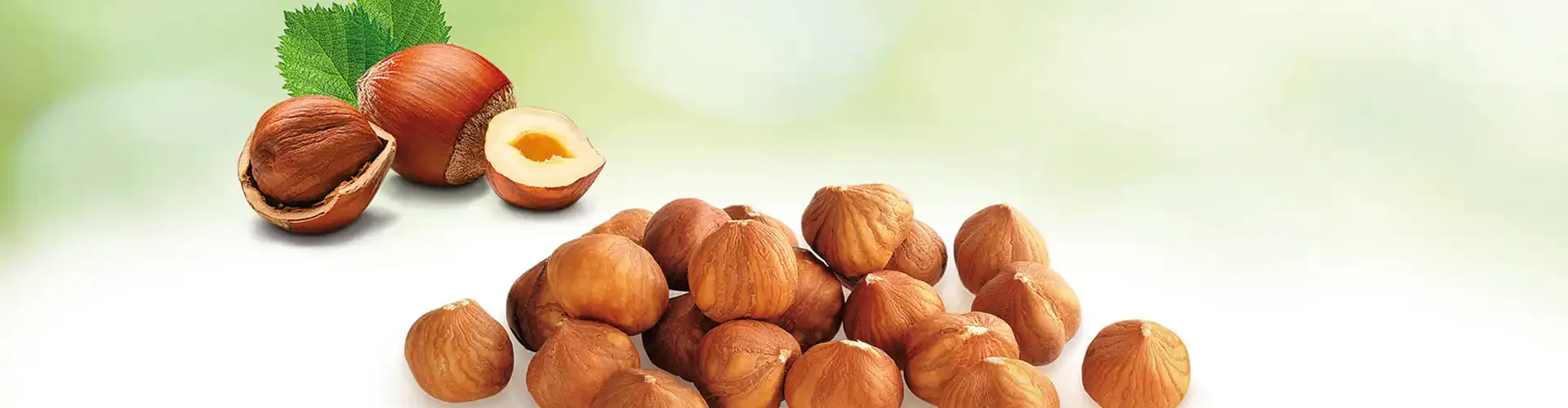 Marshimport - Hazelnuts header image media asset