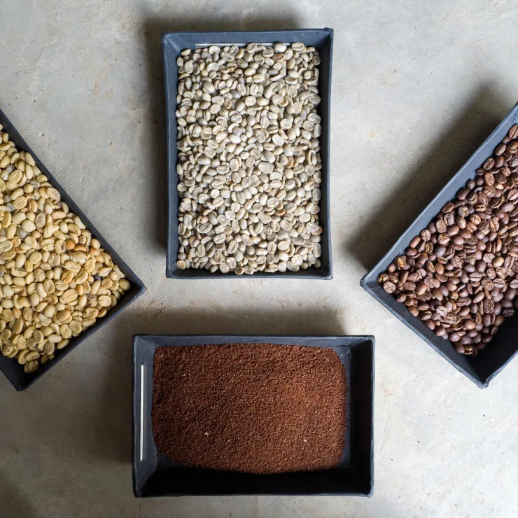 Green coffee Innovation