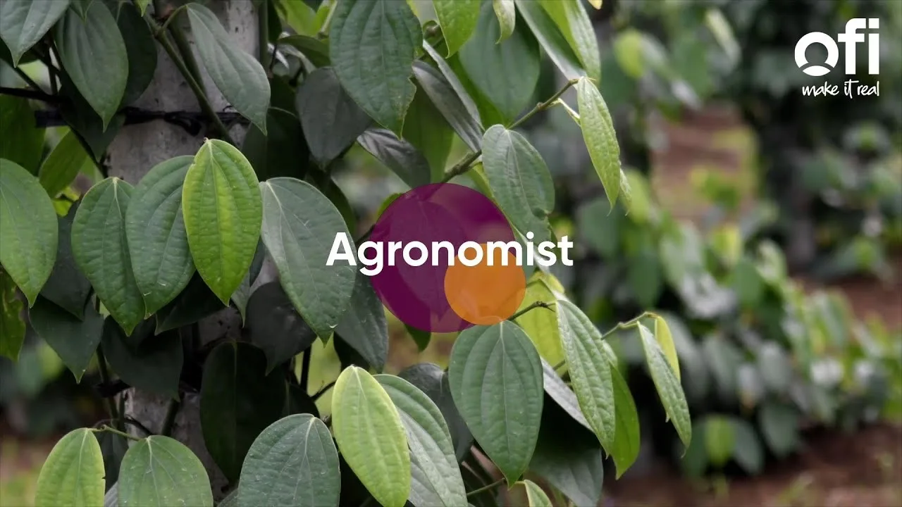 Working with farmers across the globe youtube image